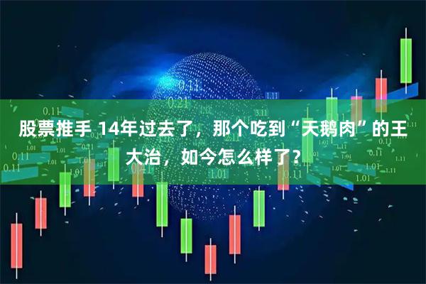 股票推手 14年过去了，那个吃到“天鹅肉”的王大治，如今怎么样了？