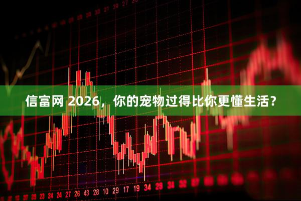 信富网 2026，你的宠物过得比你更懂生活？